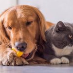 Yüz Tipine Göre Makyaj Teknikleri: Yüzünüzü Öne Çıkarın